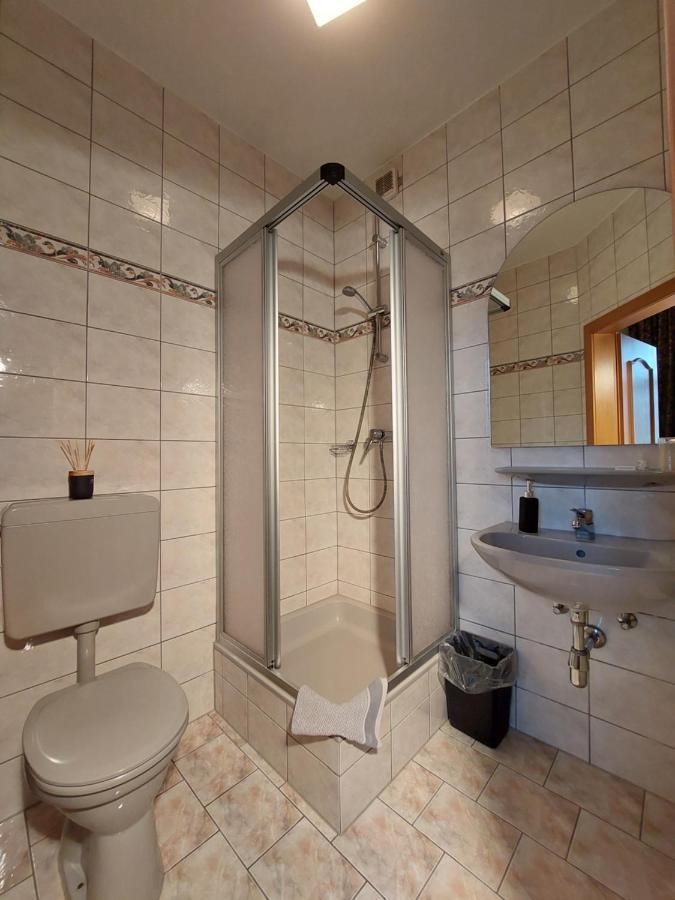 3 Raben - Leoben - Zimmer Fuer Geschaeftsreisende, Urlauber, Monteure Und Handwerker, Polski Pensjonat Austria Ngoại thất bức ảnh