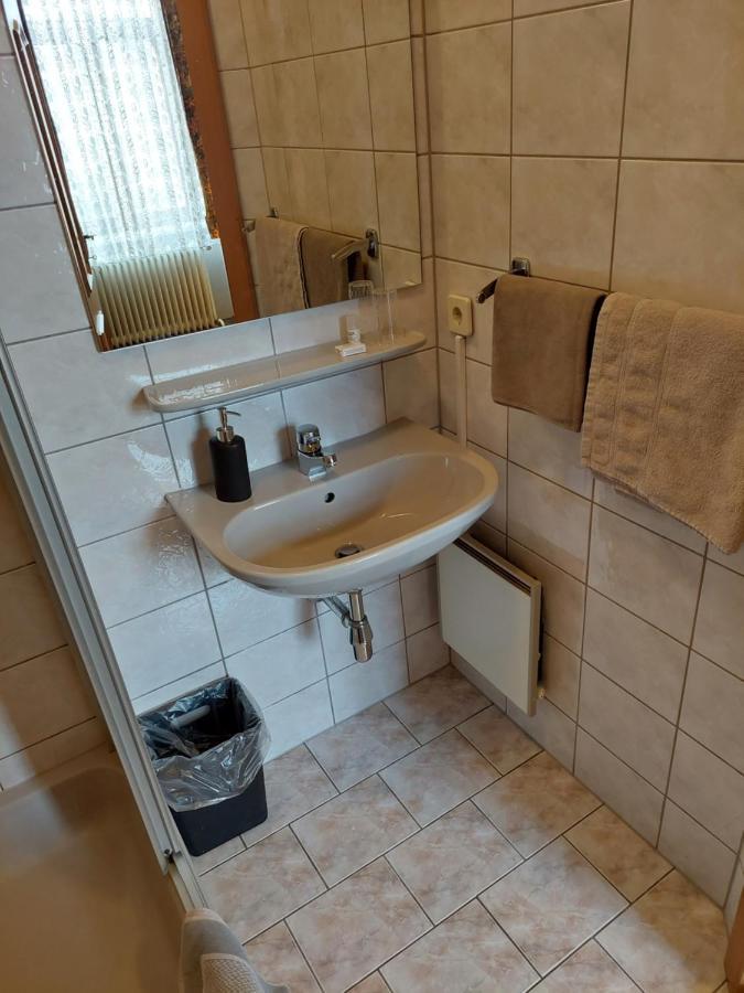 3 Raben - Leoben - Zimmer Fuer Geschaeftsreisende, Urlauber, Monteure Und Handwerker, Polski Pensjonat Austria Ngoại thất bức ảnh