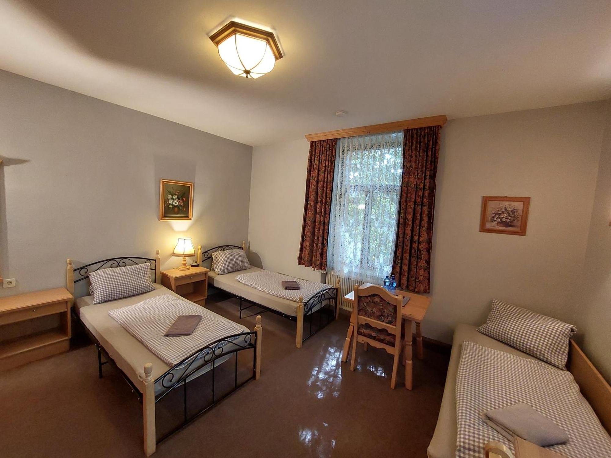 3 Raben - Leoben - Zimmer Fuer Geschaeftsreisende, Urlauber, Monteure Und Handwerker, Polski Pensjonat Austria Ngoại thất bức ảnh